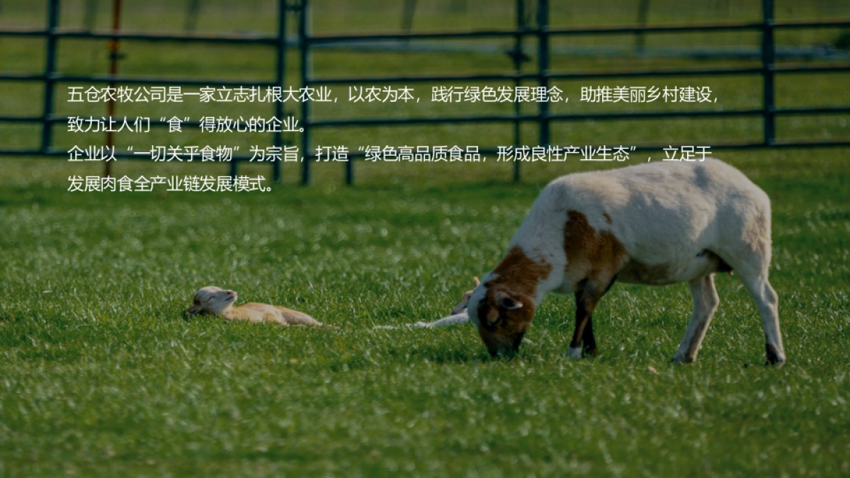 五仓农牧2020年年会策划方案_第2页