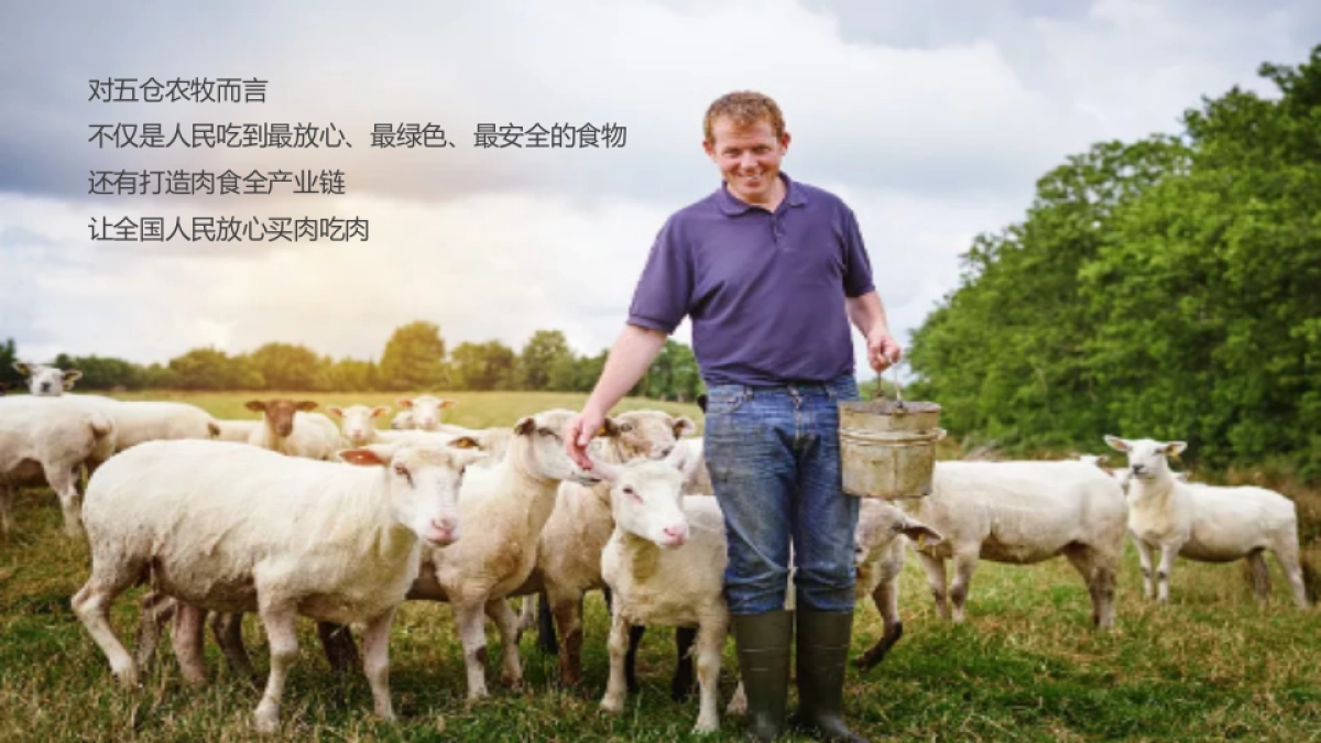 五仓农牧2020年年会策划方案_第3页