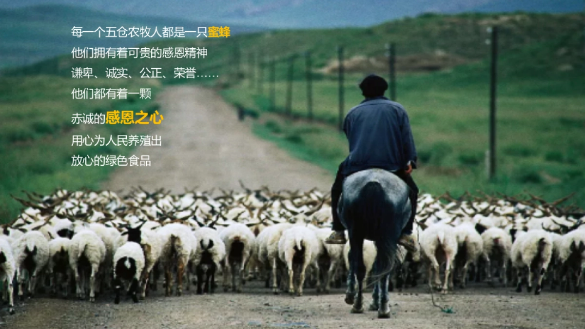 五仓农牧2020年年会策划方案_第8页