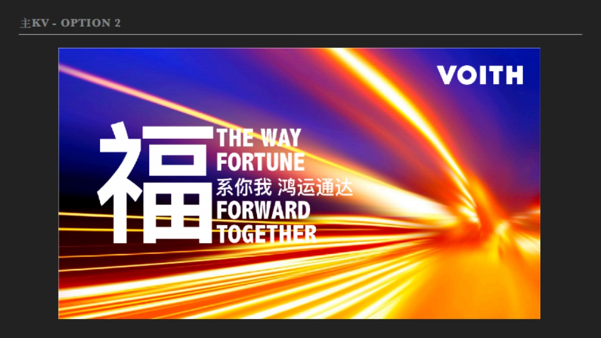 福伊特2018年会方案_第7页