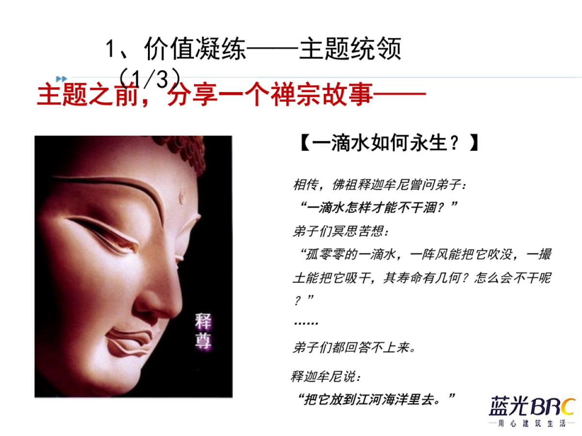 蓝光集团公司年会策划方案_第10页