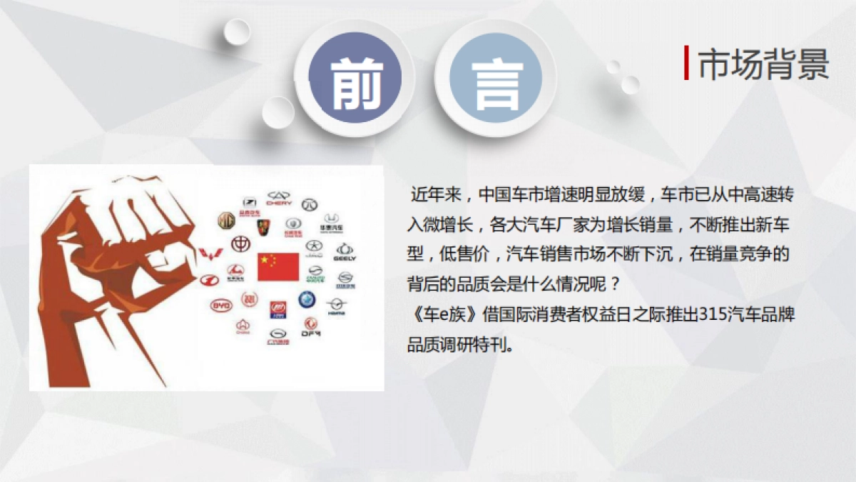 车e族315品牌传播专题策划方案_第3页