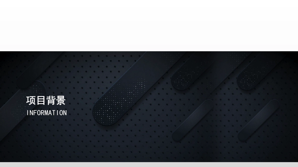 大疆创新上海车展策划方案_第3页