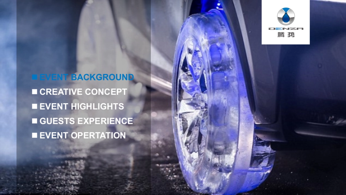 Denza腾势冰雪试驾方案_第2页