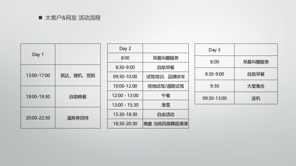 Denza腾势冰雪试驾方案_第9页