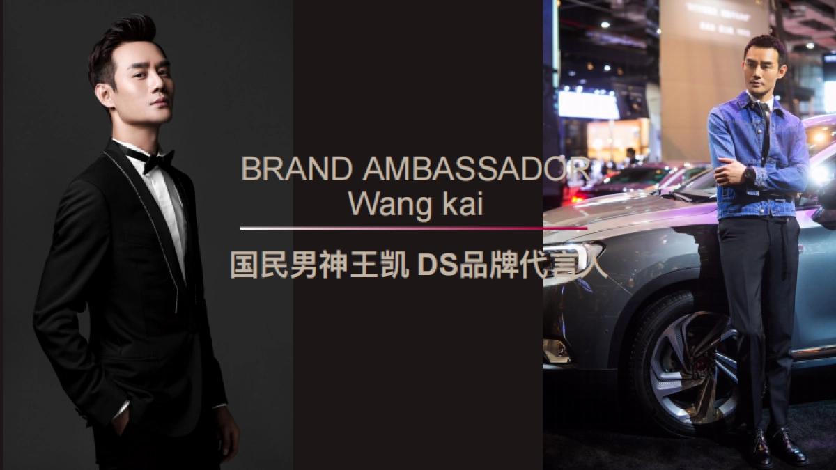 DS全系车升级全国媒体试驾会_第9页