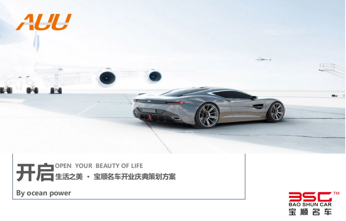宝顺名车行开业仪式策划案_第1页