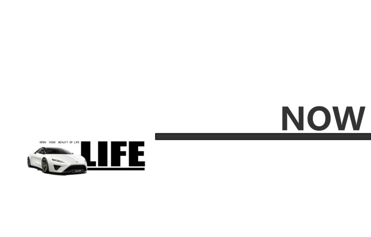 宝顺名车行开业仪式策划案_第5页