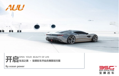 宝顺名车行开业仪式策划案