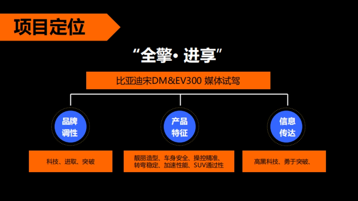 比亚迪宋试驾活动方案_第5页