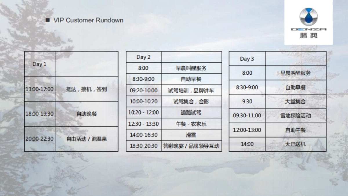 腾势冰雪试驾活动方案_第10页