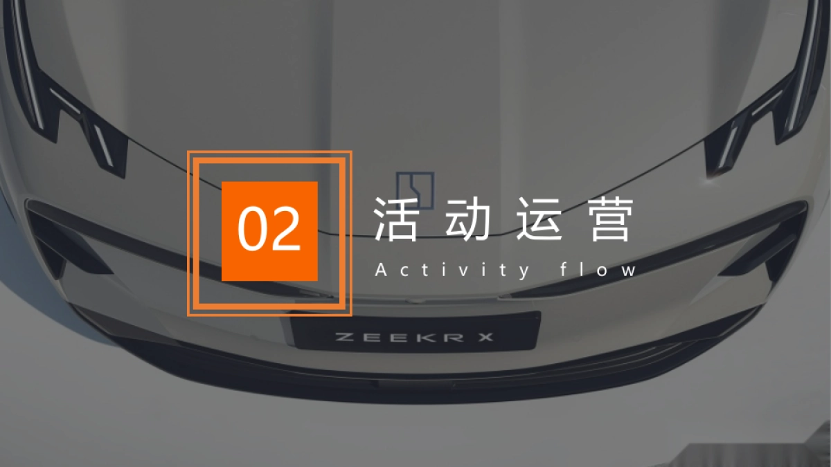 极氪国际车展活动策划方案_第9页