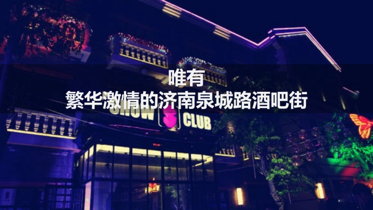 蓝鸟新车上市发布会方案_第5页