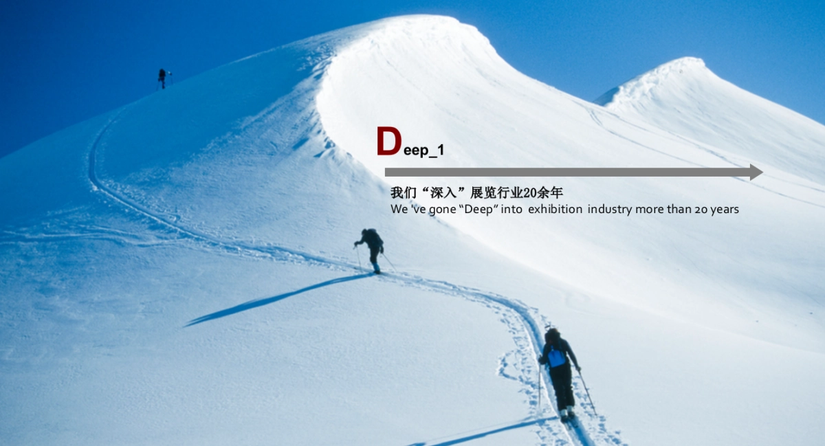 奇瑞北京车展设计方案_第5页