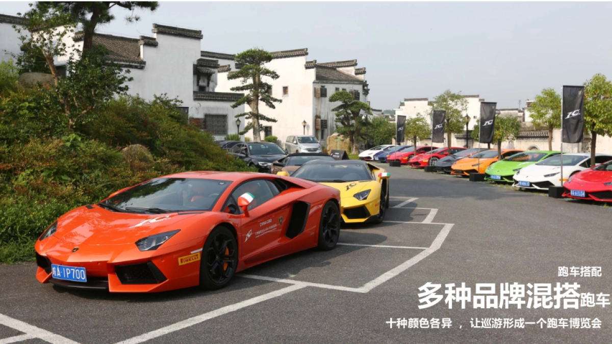 无为中俊誉墅豪车巡游策划案_第7页