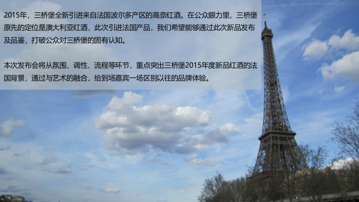 2017三桥堡法国高奈新品发布暨品鉴会策划案_第2页