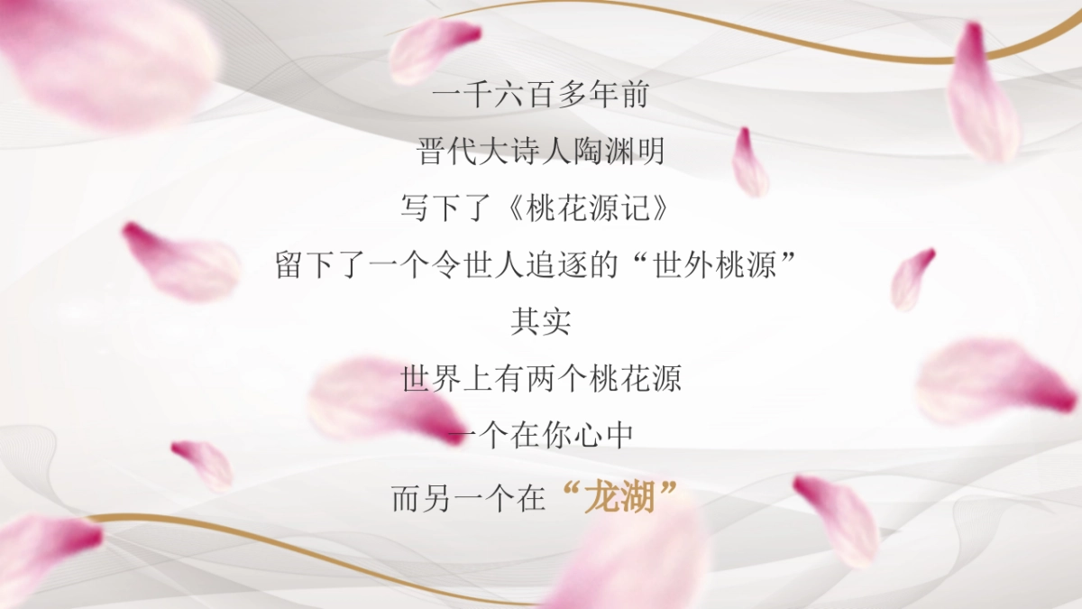 2017沈阳龙湖别墅桃源映像发布会策划案_第3页