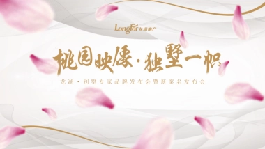 2017沈阳龙湖别墅桃源映像发布会策划案