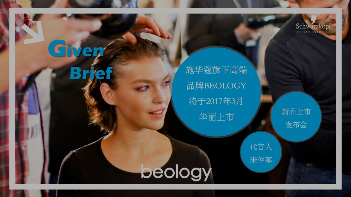 2017施华蔻新产品BEOLOGY上市营销活动方案_第2页