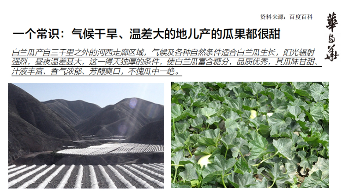 【华与华】西贝白兰瓜产品上市推广策略_第6页