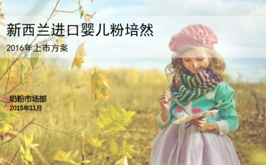 2015-培然上市方案