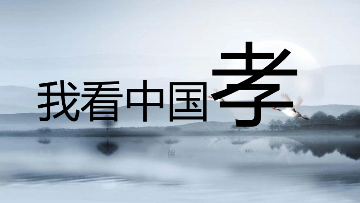 2016-中兴D&M新品上市网络传播方案_第2页