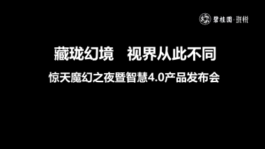 2017碧桂园珑悦惊天魔幻之夜暨智慧4.0产品发布会策划案