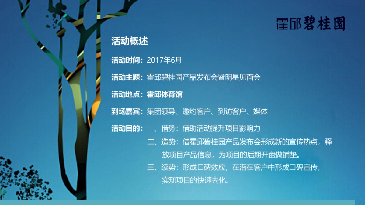 2017霍邱碧桂园产品发布会暨张卫健见面会策划案_第4页