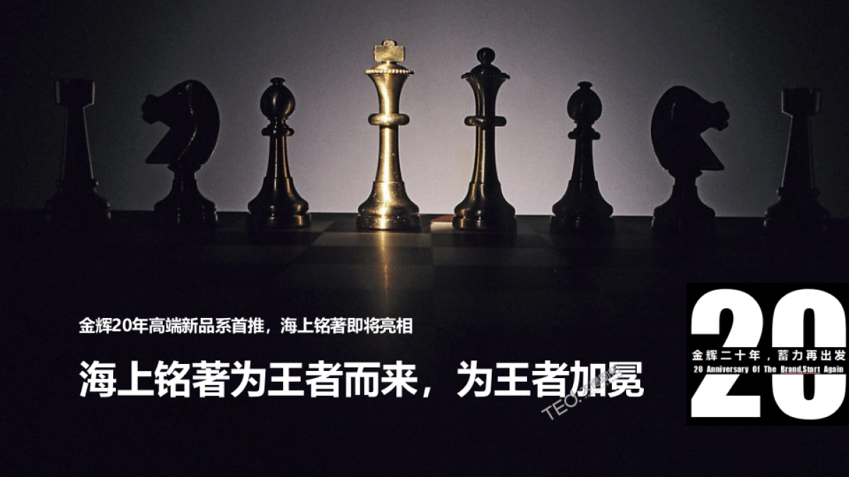 2017金辉铭著品牌发布会活动方案_第2页