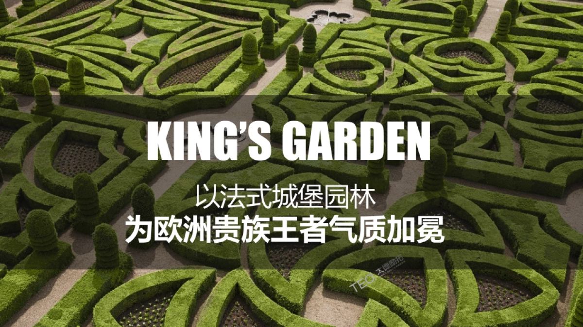 2017金辉铭著品牌发布会活动方案_第7页