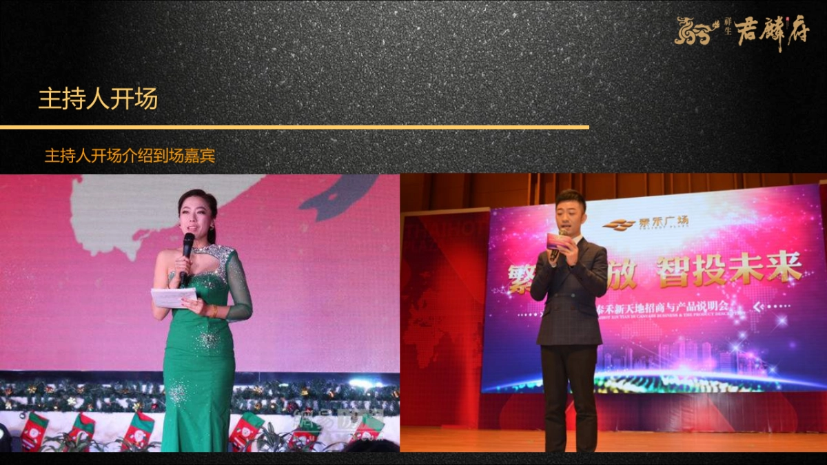 2017君麟府案名发布会策划案_第9页