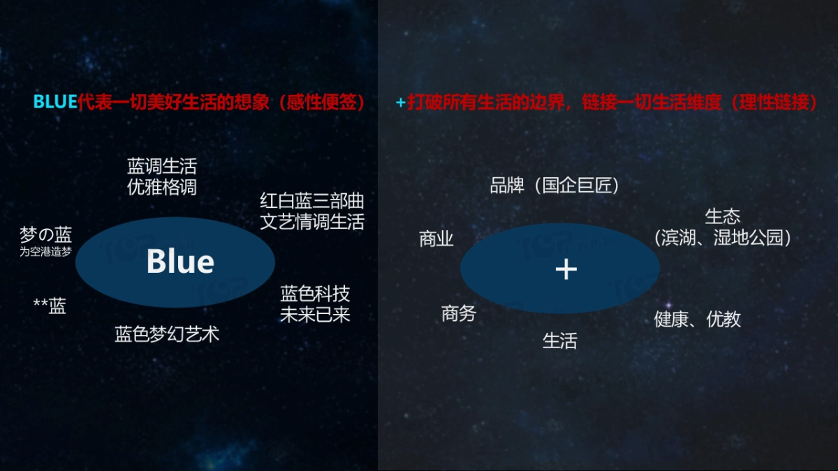 2017空港国际综合体蔚蓝生活首发仪式发布会策划案_第7页