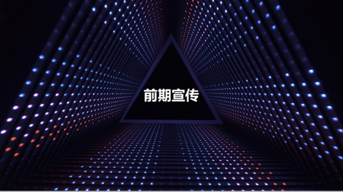 2017联发雍榕华府产品发布会策划案_第10页