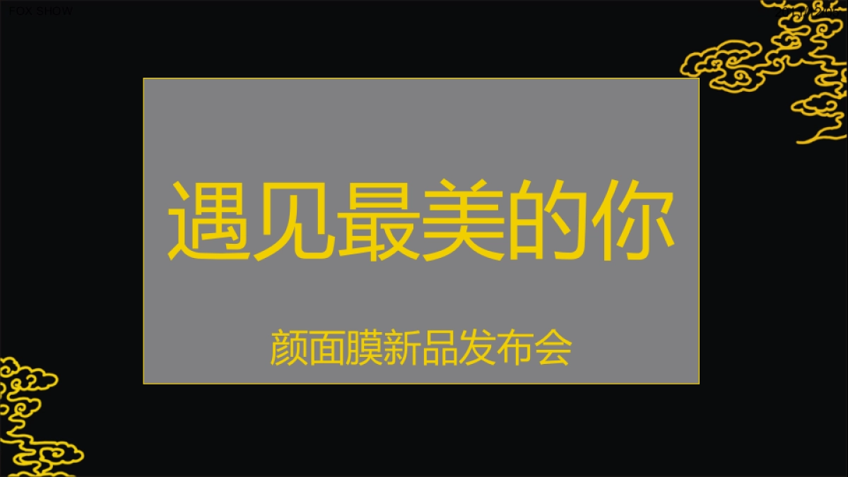 2017年颜面膜品牌发布会策划案_第5页