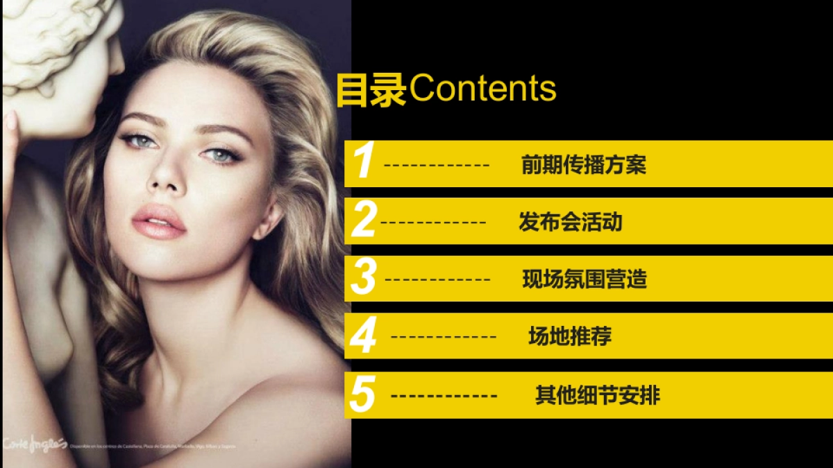 2017年颜面膜品牌发布会策划案_第8页