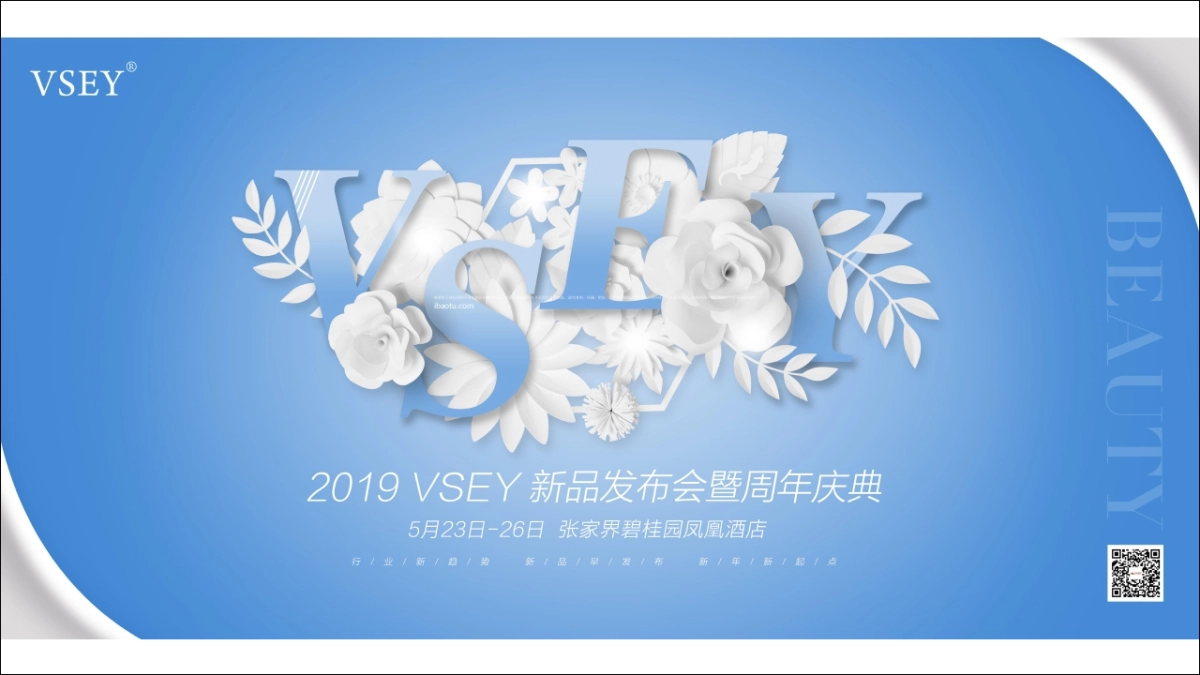 2019VSEY新品发布会暨周年庆方案_第2页