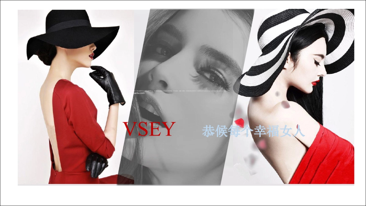 2019VSEY新品发布会暨周年庆方案_第6页