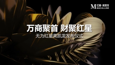 2017无为红星美凯龙发布仪式策划案