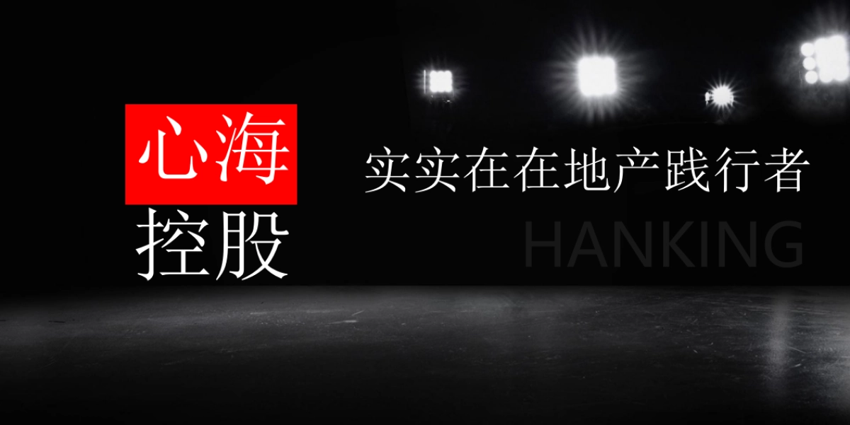 2017心海控股品牌战略发布策划案_第3页