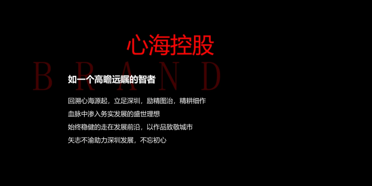 2017心海控股品牌战略发布策划案_第4页