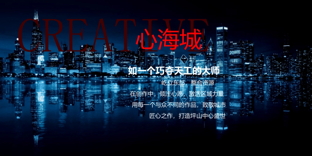 2017心海控股品牌战略发布策划案_第5页