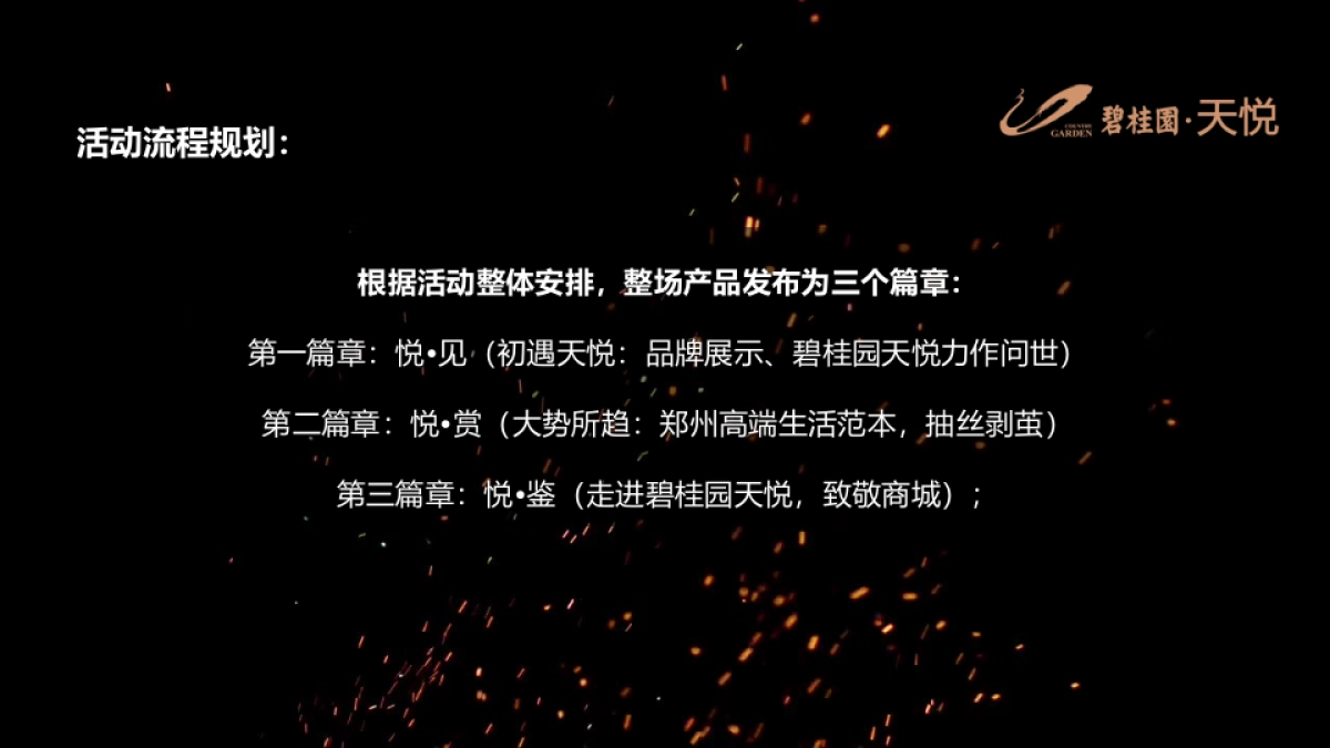 2017郑州碧桂园天悦产品发布会策划案_第9页