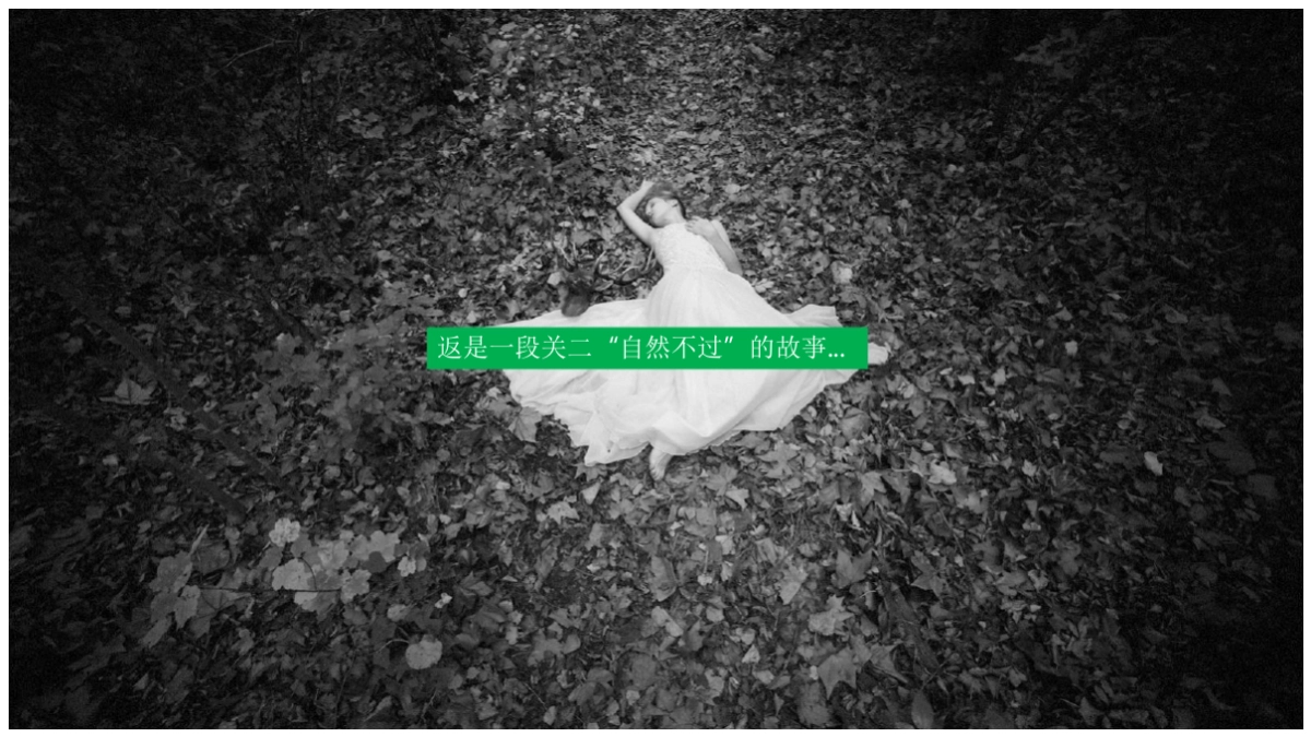 2017中建昭山印象品牌发布会活动策划方案_第2页