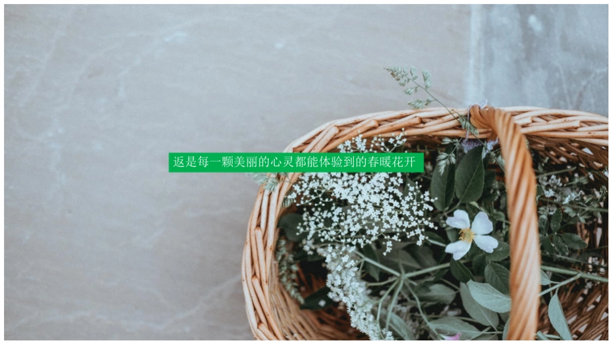 2017中建昭山印象品牌发布会活动策划方案_第3页