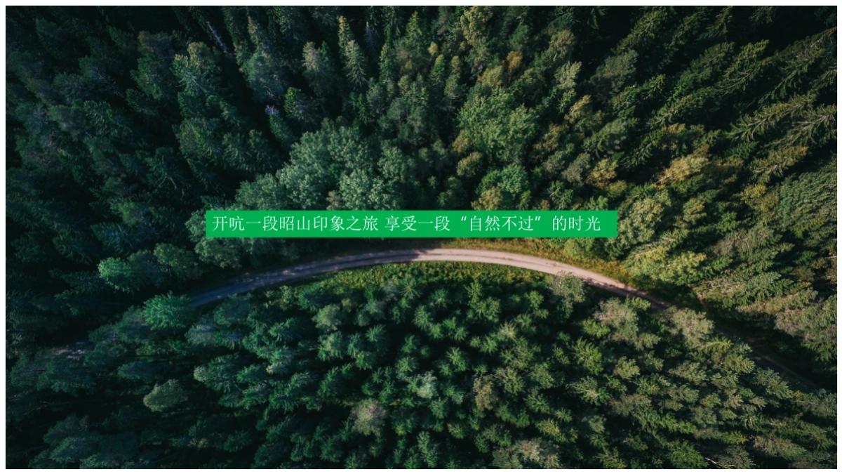 2017中建昭山印象品牌发布会活动策划方案_第5页