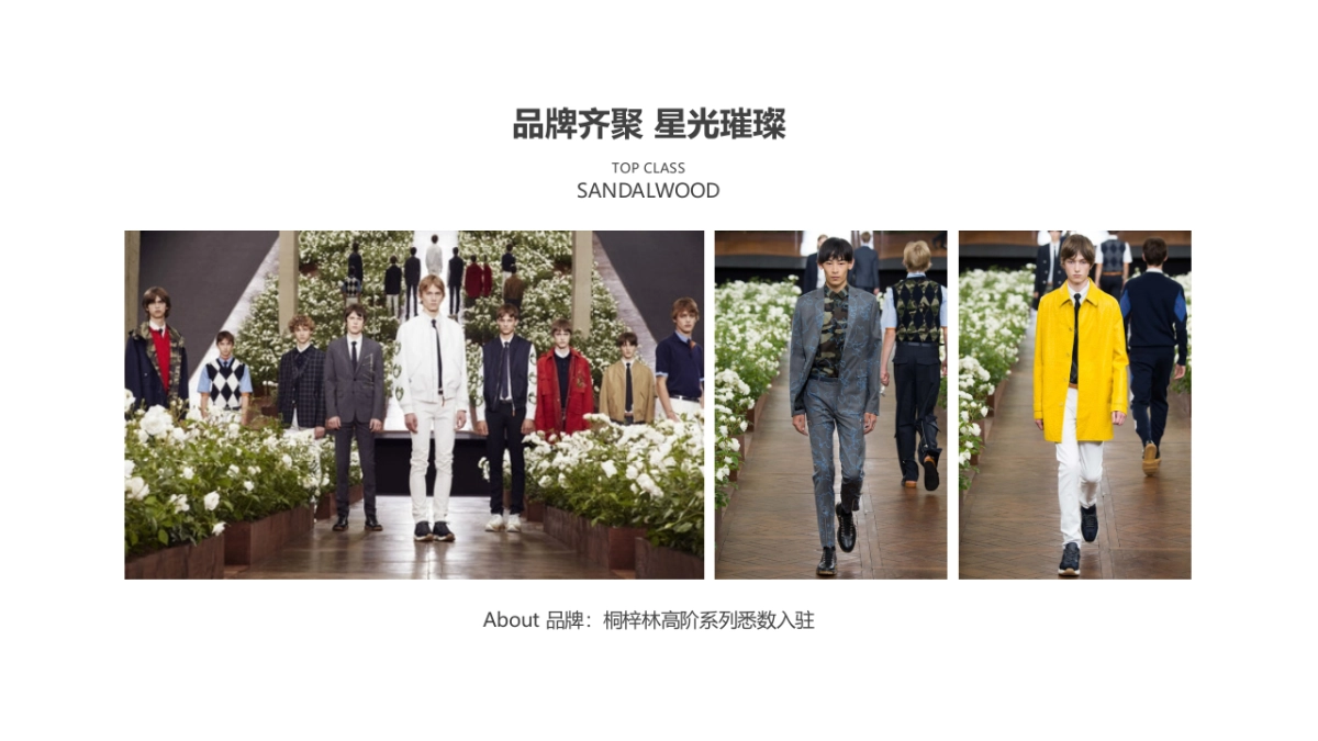 2017紫檀II檀风尚界春季时尚发布会活动方案_第4页