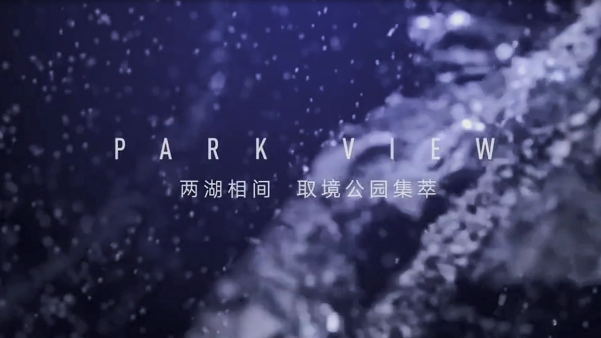 2018碧桂园时代倾城产品发布会策划案_第2页