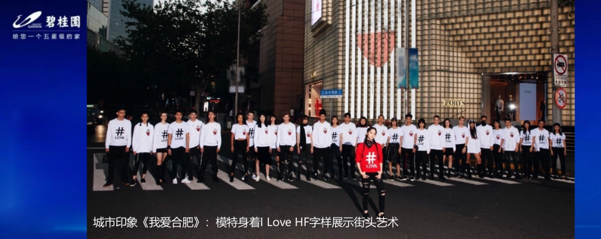 2018合肥碧桂园品牌发布会策划案_第10页