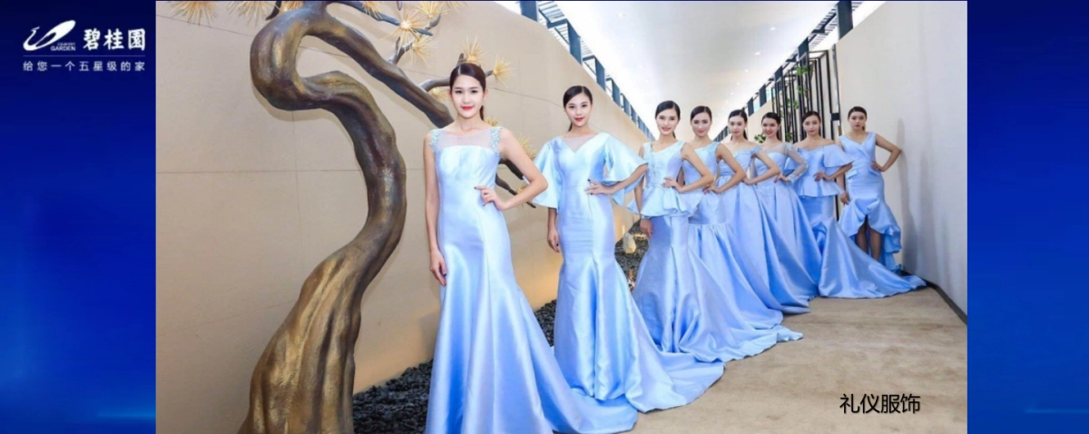 2018合肥碧桂园品牌发布会策划案_第8页