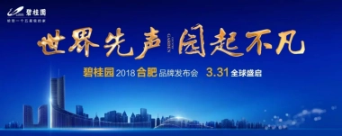 2018合肥碧桂园品牌发布会策划案